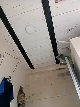 zamir adam online show from October 31, 11:55 am