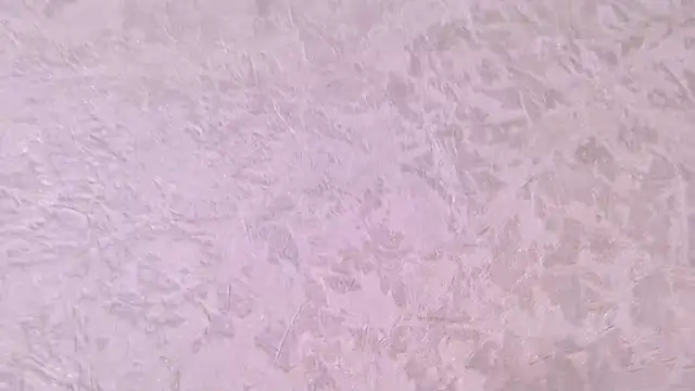 paulina cano online show from December 21, 7:10 pm