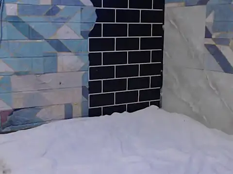 Newt4U online show from November 11, 10:04 am