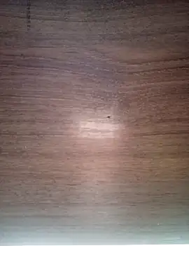 ValeriaLove43211 online show from December 17, 7:36 am