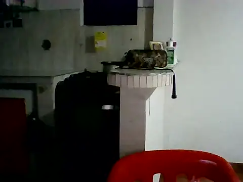 Snapshot of XavierFox1 chatting on November 18, 3:45 am XavierFox1 online show from November 18, 3:45 am