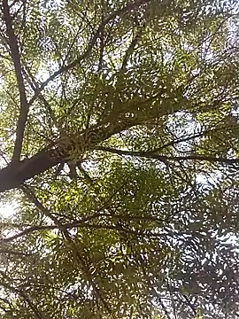 ipvk online show from April 8, 4:23 am