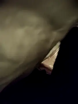 telugumodda4396 online show from November 15, 10:01 am