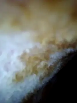 Snapshot of alone_boy802 chatting on October 30, 6:26 am alone boy802 online show from October 30, 6:26 am