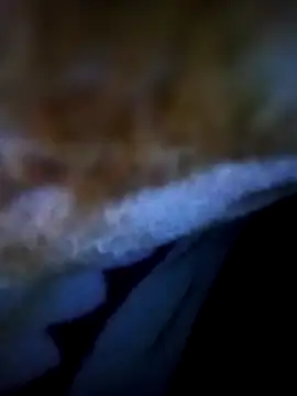 Snapshot of alone_boy802 chatting on November 5, 12:54 am alone boy802 online show from November 5, 12:54 am