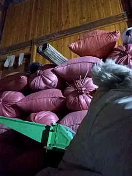 vtmbae online show from January 19, 12:20 pm