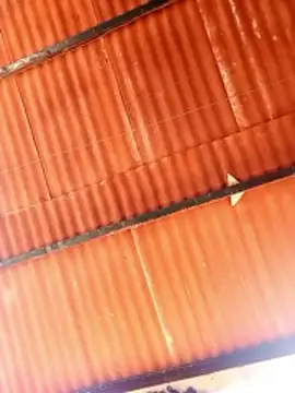 Goofygoody17 online show from February 8, 10:29 am