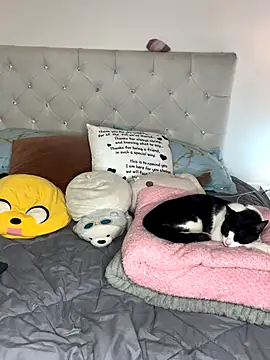 Snapshot of sunnymoonn_1 chatting on October 2, 8:05 pm sunnymoonn 1 online show from October 2, 8:05 pm