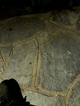 gptre online show from September 30, 7:41 pm