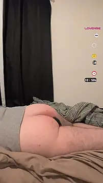 bear8t online show from November 11, 9:53 am