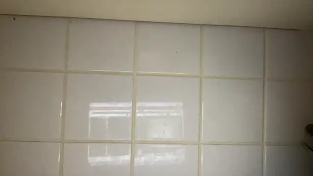 Snapshot of Milysoren chatting on February 14, 10:56 am Milysoren online show from February 14, 10:56 am