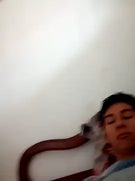 Snapshot of FlightedIce chatting on October 29, 5:14 pm FlightedIce online show from October 29, 5:14 pm