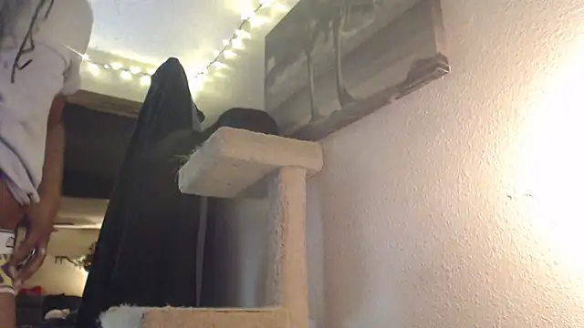 AlickleStiff online show from November 15, 2:31 am