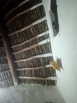 LOVE-VIKA online show from February 23, 1:19 pm