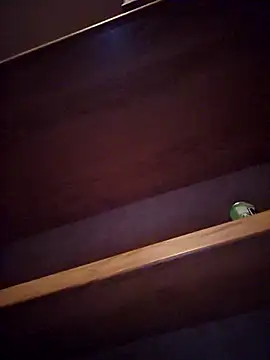 DeeBestEver online show from November 4, 1:16 am