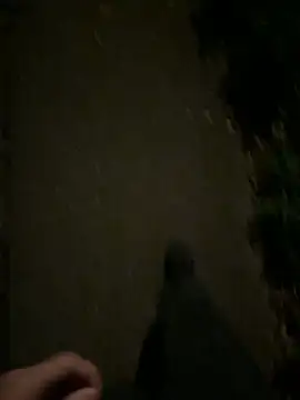 Snapshot of ncjuice_ chatting on October 31, 10:00 pm ncjuice  online show from October 31, 10:00 pm