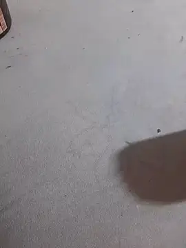 JuDilva8451 online show from November 21, 11:58 pm