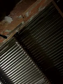 lady and charly online show from January 19, 12:09 pm