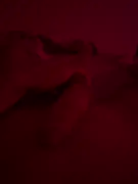 Snapshot of nieonixpeek19 chatting on February 2, 9:13 pm nieonixpeek19 online show from February 2, 9:13 pm