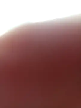 Snapshot of Diamon- chatting on November 4, 5:28 am Diamon- online show from November 4, 5:28 am