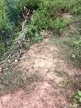 Snapshot of MalickKai chatting on October 14, 10:49 am MalickKai online show from October 14, 10:49 am