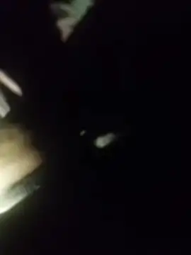 Thaps deDick online show from April 11, 9:41 pm