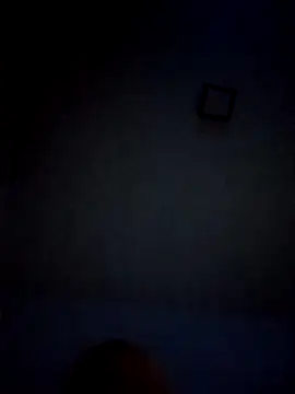 Graimito online show from January 17, 2:00 pm