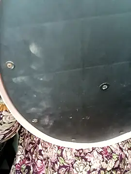 Marathi gavtami online show from January 8, 6:48 am