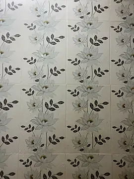 Snapshot of Nipa59 chatting on November 7, 7:52 am Nipa59 online show from November 7, 7:52 am