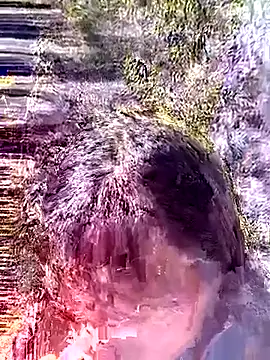 siusiu-00 online show from January 18, 5:00 am