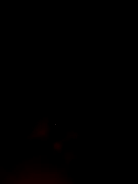 ShavenScope24 online show from December 1, 5:40 pm