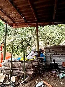 -Kem-01 online show from February 22, 6:35 am