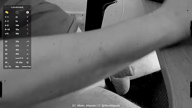 Mister Majestic online show from December 1, 4:12 pm