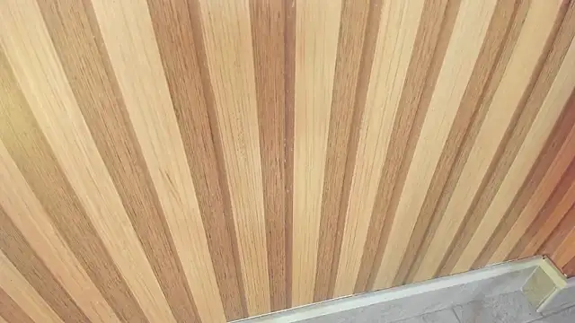 mia  blaze   online show from November 11, 3:06 am