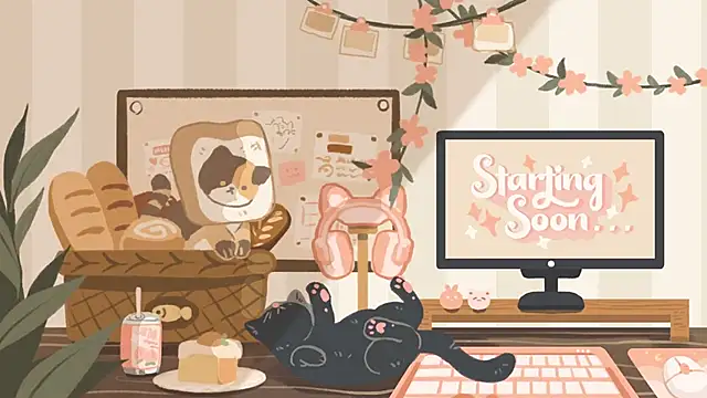 Snapshot of geekycastillo chatting on January 17, 3:22 am geekycastillo online show from January 17, 3:22 am