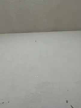 Chicattoo69 online show from November 20, 6:07 pm