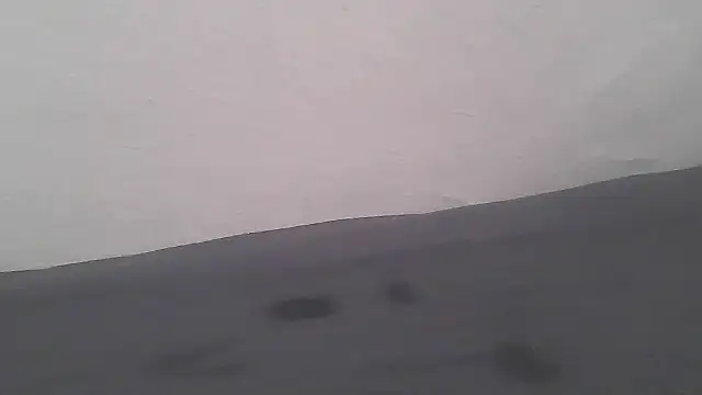 Femaleking29 online show from November 8, 10:15 am