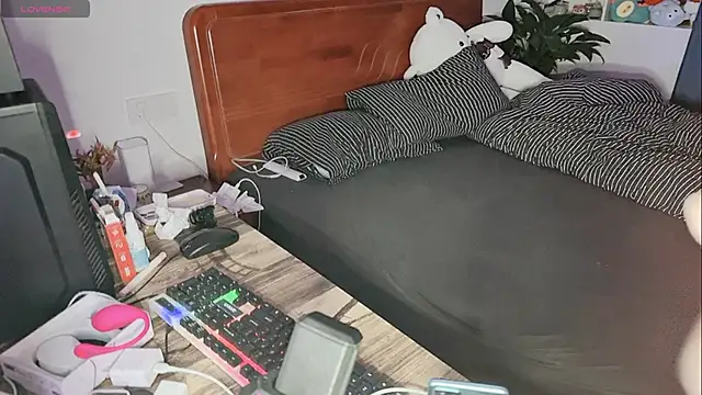 xiner-6666 online show from October 26, 2:34 pm