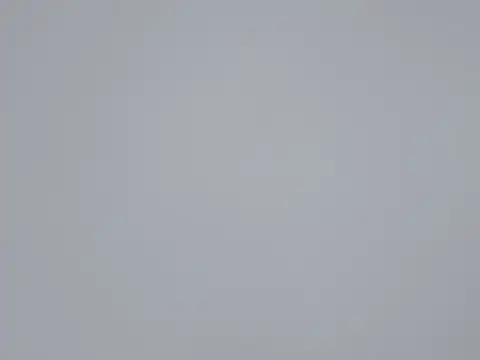 Snapshot of AA-61 chatting on October 25, 7:27 am AA-61 online show from October 25, 7:27 am