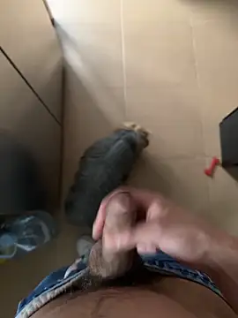 findomhot online show from February 4, 3:51 pm