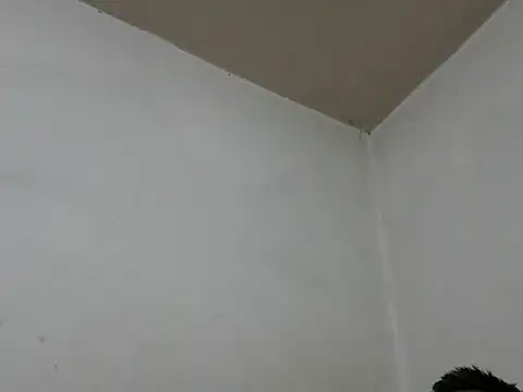 Snapshot of GordoChancludoSLP chatting on November 25, 4:45 am GordoChancludoSLP online show from November 25, 4:45 am