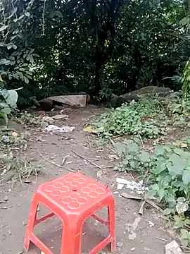 Snapshot of doggy-00 chatting on July 24, 11:30 am doggy-00 online show from July 24, 11:30 am