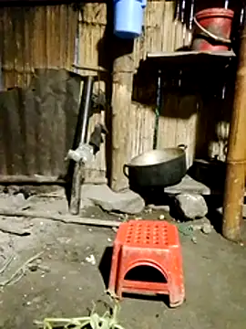 Snapshot of doggy-00 chatting on July 30, 10:20 pm doggy-00 online show from July 30, 10:20 pm