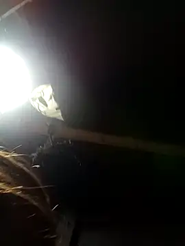 bella-la online show from February 9, 11:14 am