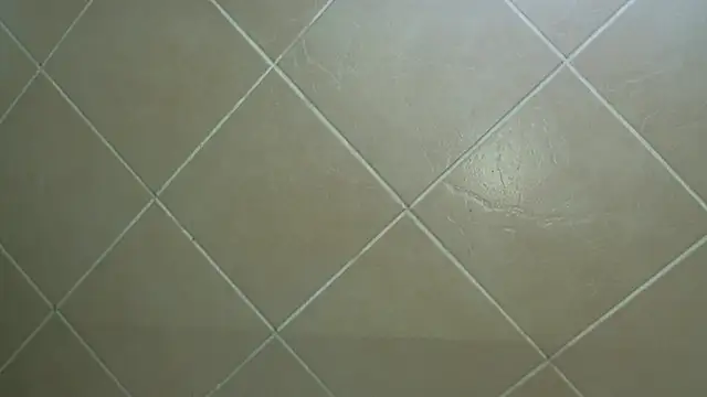 NewBeginnings8 online show from December 15, 12:53 pm