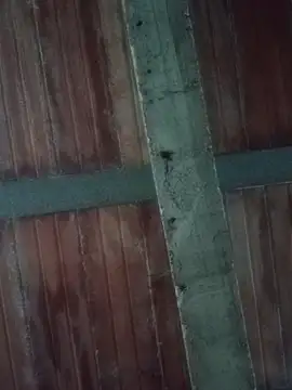 Megan2026 online show from February 19, 11:12 pm