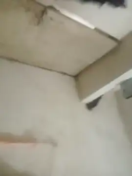 Jooli cuty online show from November 26, 1:01 pm