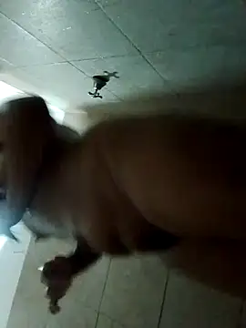 Snapshot of rebelde502 chatting on November 12, 5:41 am rebelde502 online show from November 12, 5:41 am