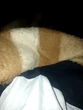 Azo3zgju online show from November 23, 2:33 am