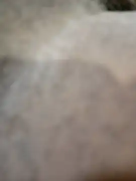 Telonet online show from April 19, 10:14 am